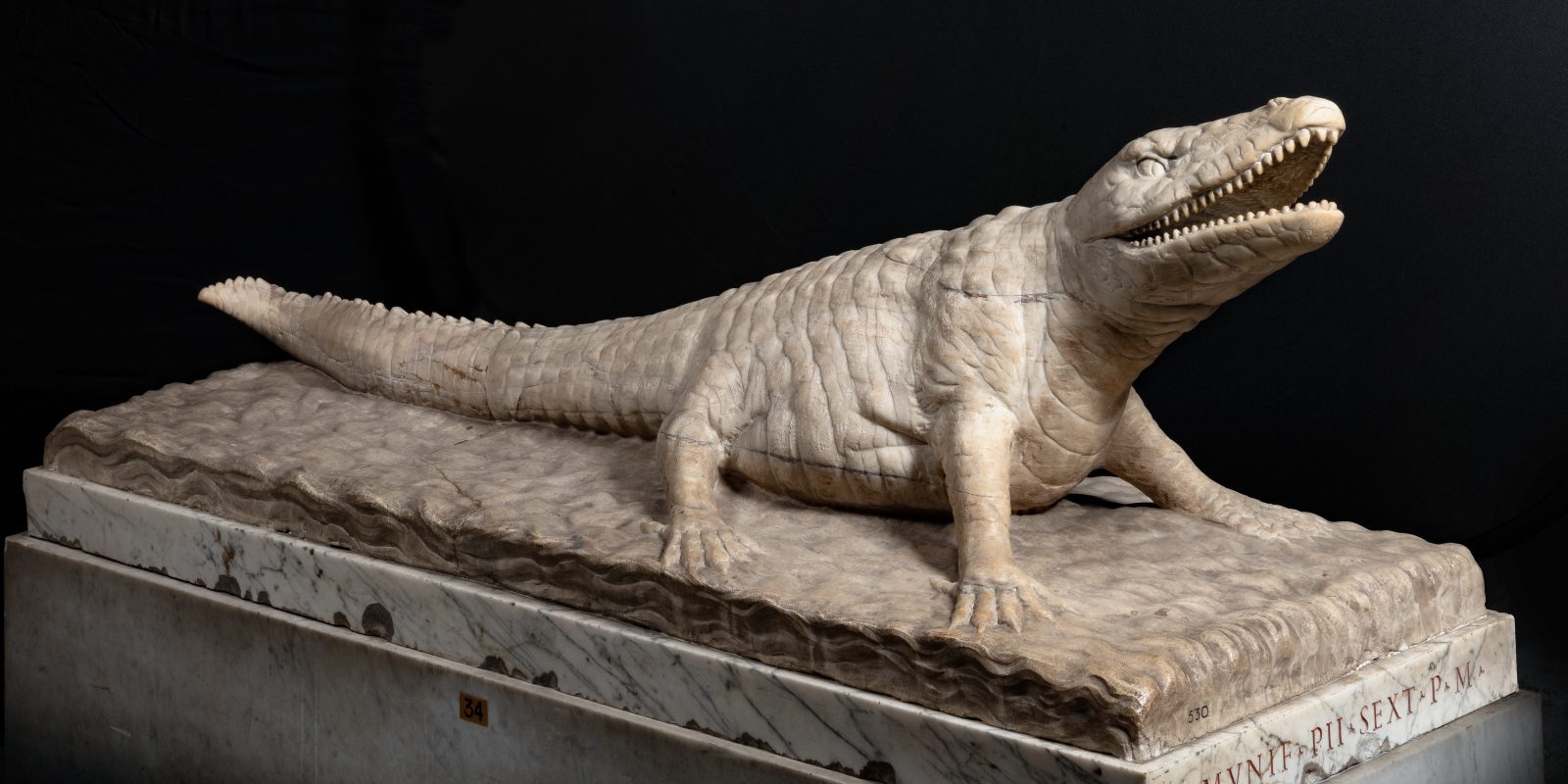 Coccodrillo, steinerne Krokodil-Skulptur aus den Vatikanishen Museen